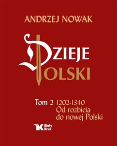 Dzieje Polski Od rozbicia do nowej Polski Tom 2 - Księgarnia Niemcy (DE)
