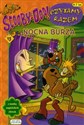 Scooby-Doo! Czytamy razem 13 Nocna burza 4-7 lat