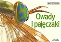 Owady i pajęczaki Mały przewodnik - Noel Tait