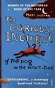 The Curious Incident of the Dog in the Night