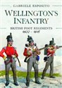 Wellington's Infantry British Foot Regiments 1800-1815 