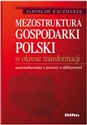 Mezostruktura gospodarki Polski w okresie transformacji Uwarunkowania, procesy, efektywność