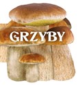 Grzyby - Opracowanie Zbiorowe