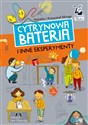 Cytrynowa bateria i inne eksperymenty