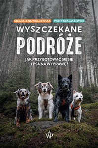 Wyszczekane podróże Jak przygotować siebie i psa na wyprawę