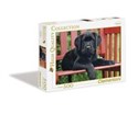 Puzzle 500 High Quality Collection The Black dog 