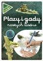 Płazy i gady naszych lasów wyd. 2021 