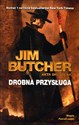 Drobna przysługa Akta Dresdena Tom 10 - Jim Butcher