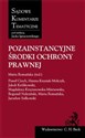 Pozainstancyjne środki ochrony prawnej