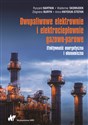 Dwupaliwowe elektrownie i elektrociepłownie gazowo-parowe Efektywność energetyczna i ekonomiczna - Ryszard Bartnik, Waldemar Skomudek, Zbigniew Buryn, Anna Hnydiuk-Stefan