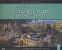 Spotkania z Jezusem w Ewangelii św Jana (Płyta CD) - Alessandro Pronzato