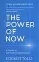 The Power of Now A Guide to Spiritual Enlightenment - Eckhart Tolle