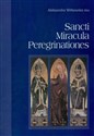 Sancti Miracula Peregrinationes - Aleksandra Witkowska