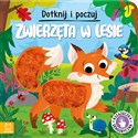 Dotknij i poczuj Zwierzęta w lesie Książeczka sensoryczna  - Grażyna Wasilewicz