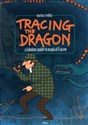 Tracing the Dragon a fabulous guide to magical Cracow