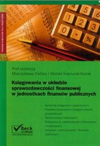 Księgowania w układzie sprawozdawczości finansowej w jednostkach finansów publicznych