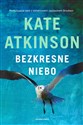 Bezkresne niebo - Kate Atkinson