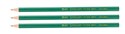 Ołówki elastyczne HB (12szt) TOMA - 