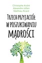 Trzech przyjaciół w poszukiwaniu mądrości