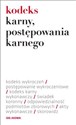 Kodeks karny postępowania karnego