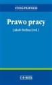 Prawo pracy - Artur Rycak, Magdalena Barbara Rycak, Monika Tomaszewska, Marcin Zieleniecki, Jakub Stelina