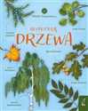 Młodzi przyrodnicy Rozpoznaję drzewa - Patrycja Zarawska