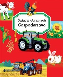 Świat w obrazkach Gospodarstwo - Księgarnia UK