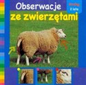 Obserwacje ze zwierzętami  - 