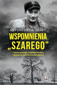 Wspomnienia "Szarego"