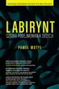 Labirynt Sztuka podejmowania decyzji