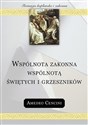 Wspólnota zakonna wspólnotą świętych i grzeszników 