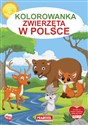 Zwierzęta w Polsce. Kolorowanka  - Jarosław Żukowski