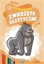 Zwierzęta egzotyczne kolorowanka 2 sztuki  - 