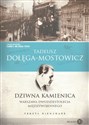 Dziwna kamienica Warszawa dwudziestolecia międzywojennego