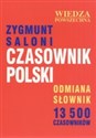 Czasownik polski Odmiana słownik 13 500 czasowników