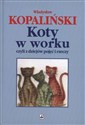 Koty w worku czyli z dziejów pojęć i rzeczy - Władysław Kopaliński