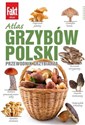 Atlas grzybów Polski 