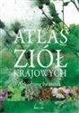 Atlas ziół krajowych