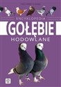 Encyklopedia Gołębie hodowlane