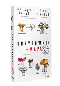 Grzybownik