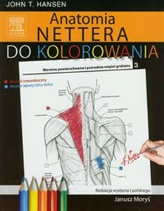 Anatomia Nettera do kolorowania