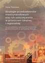 Strategie przedsiębiorstw międzynarodowych oraz ich oddziaływania w przestrzeni lokalnej i regionalnej