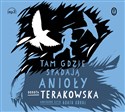 [Audiobook] Tam, gdzie spadają Anioły - Dorota Terakowska