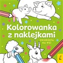 Zwierzęta na wsi. Kolorowanka z naklejkami