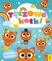 Tęczowe kotki