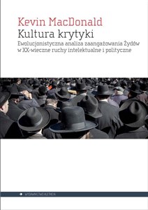 Kultura krytyki