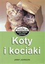 Koty i kociaki