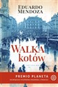 Walka kotów