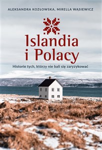 Islandia i Polacy Historie tych, którzy nie bali się zaryzykować