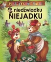 Puszczykowe nauki O niedźwiadku Niejadku